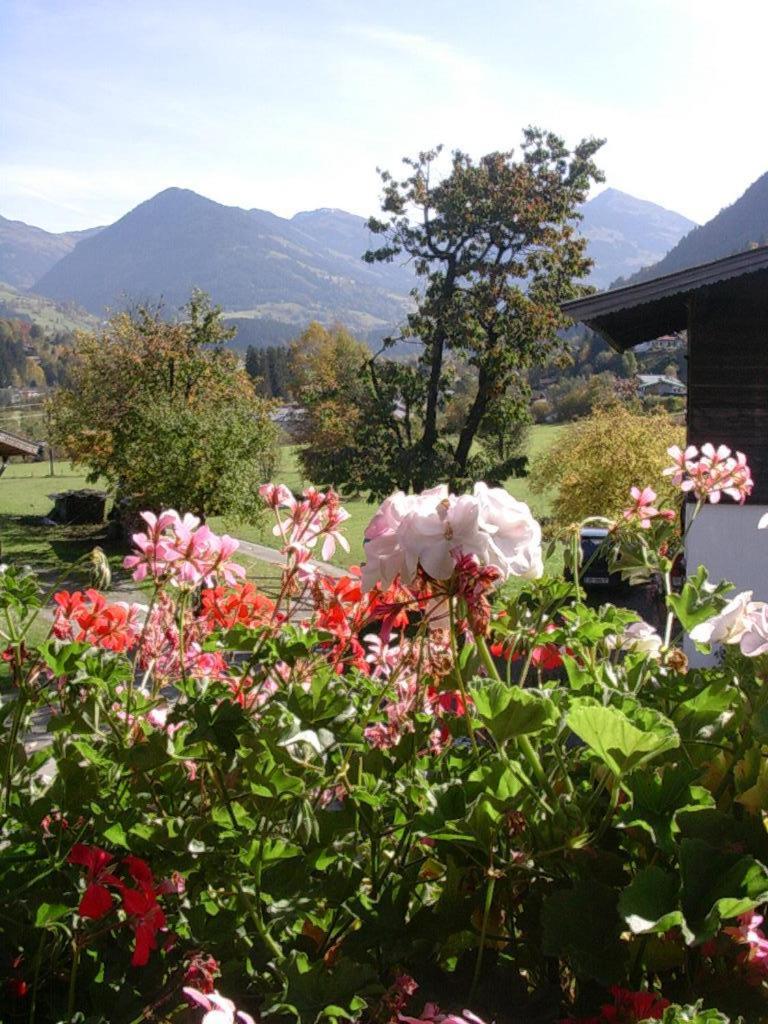 Bed and Breakfast Malernhof à Kitzbühel Extérieur photo
